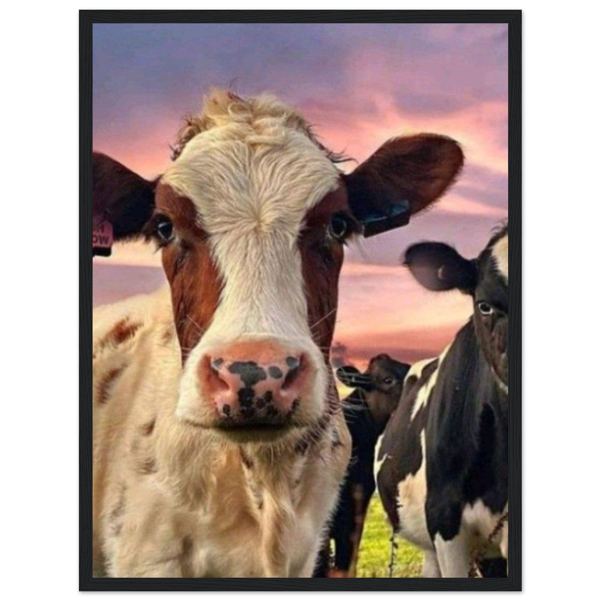 Canvanation Print Material 45x60 cm / 18x24″ Tableau Vache Dans La Prairie