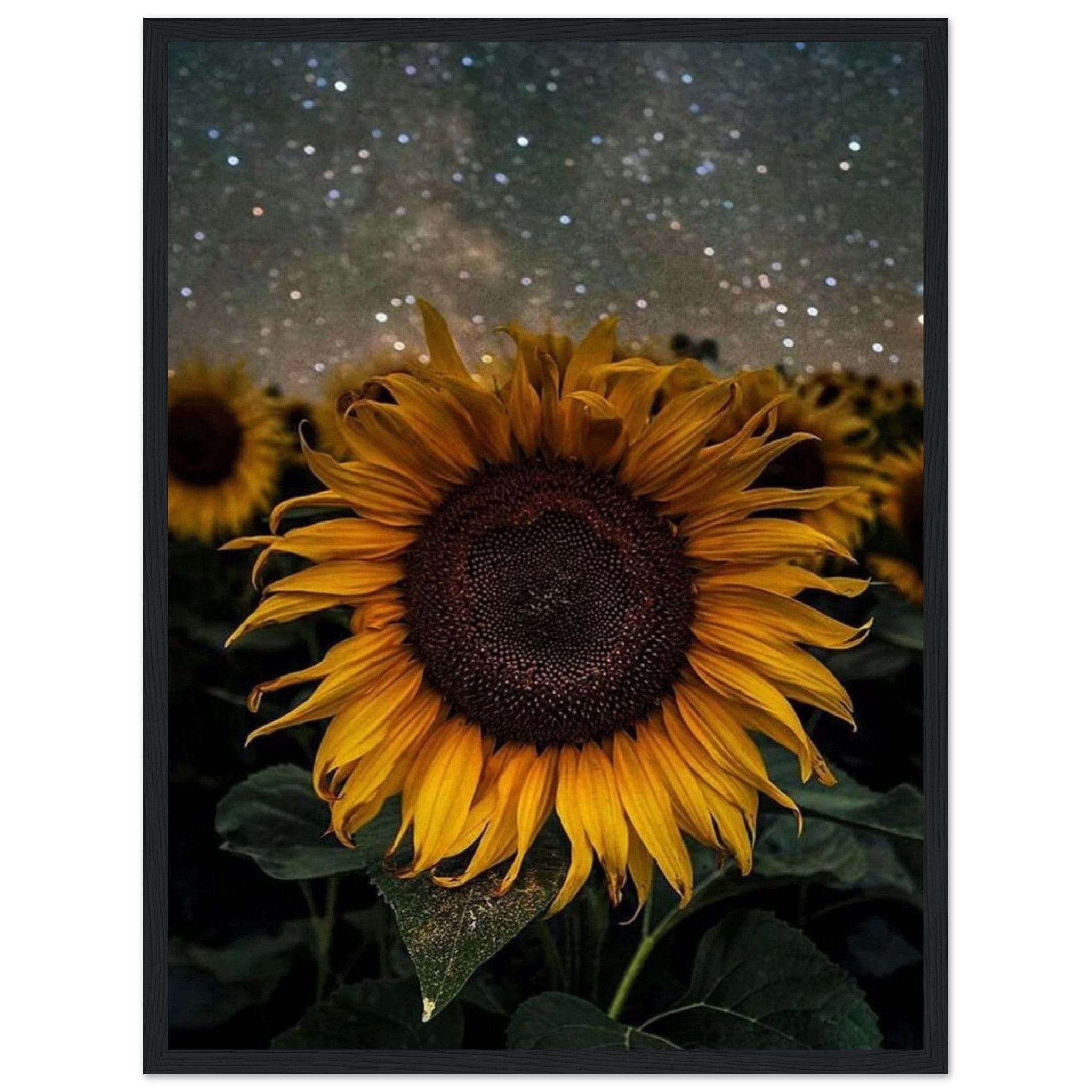 Gelato Print Material 45x60 cm / 18x24″ Tableau De Van Gogh Tournesol