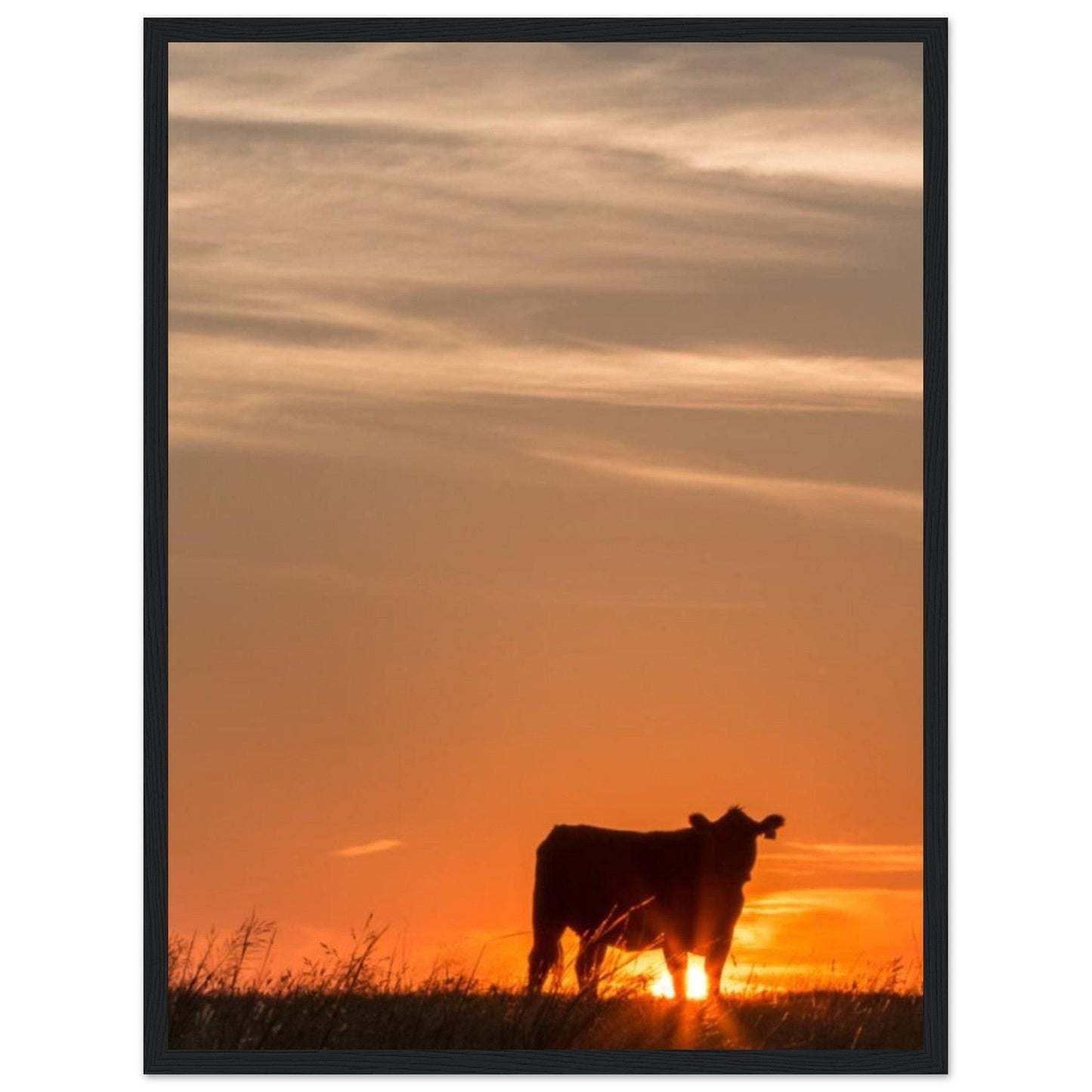 Tableau Vache Couché De Soleil - Canvanation