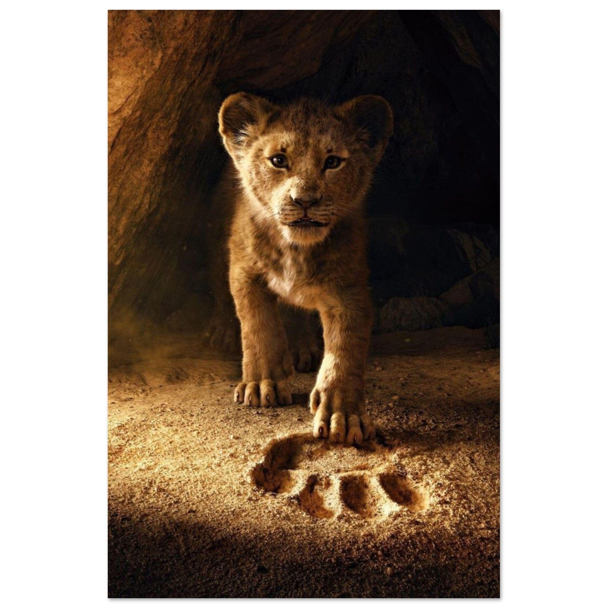 Canvanation Print Material 60x90 cm / 24x36″ Poster Lionceau