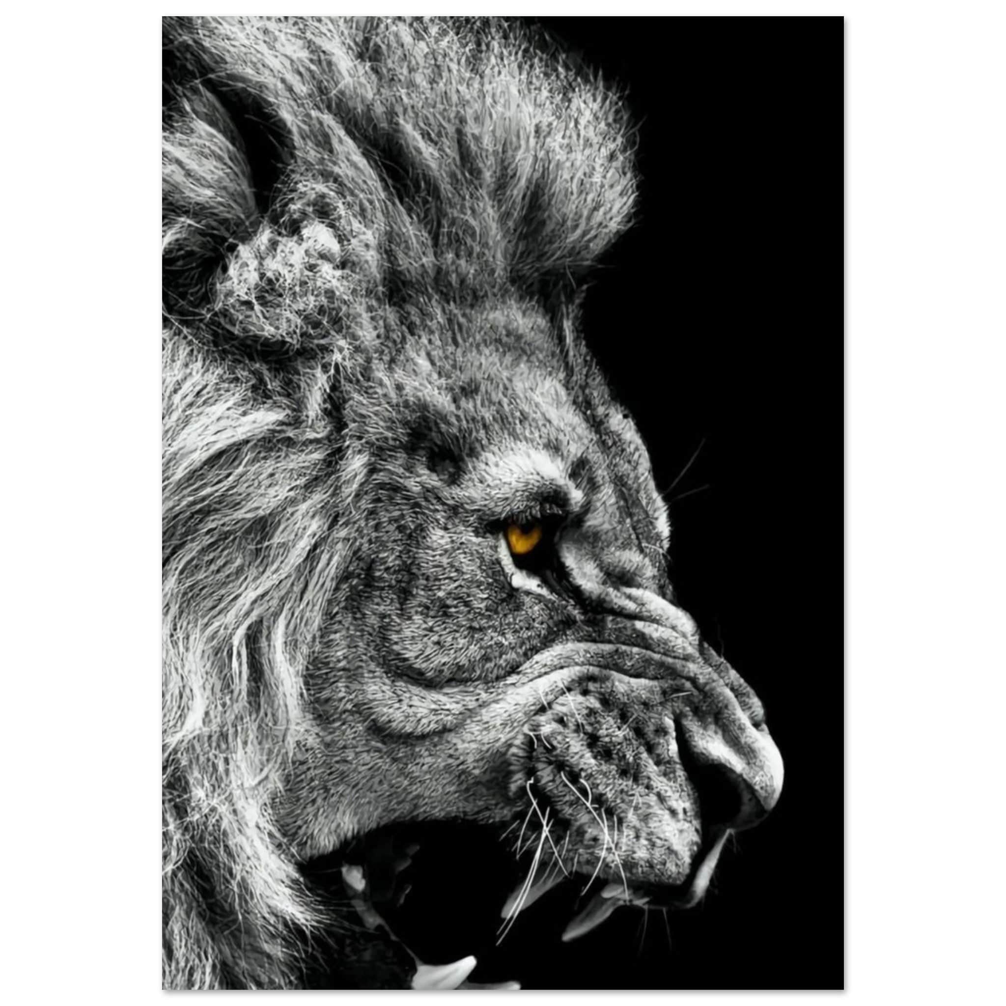 Canvanation Print Material 70x100 cm / 28x40″ Poster Lion Noir Et Blanc Rugissement