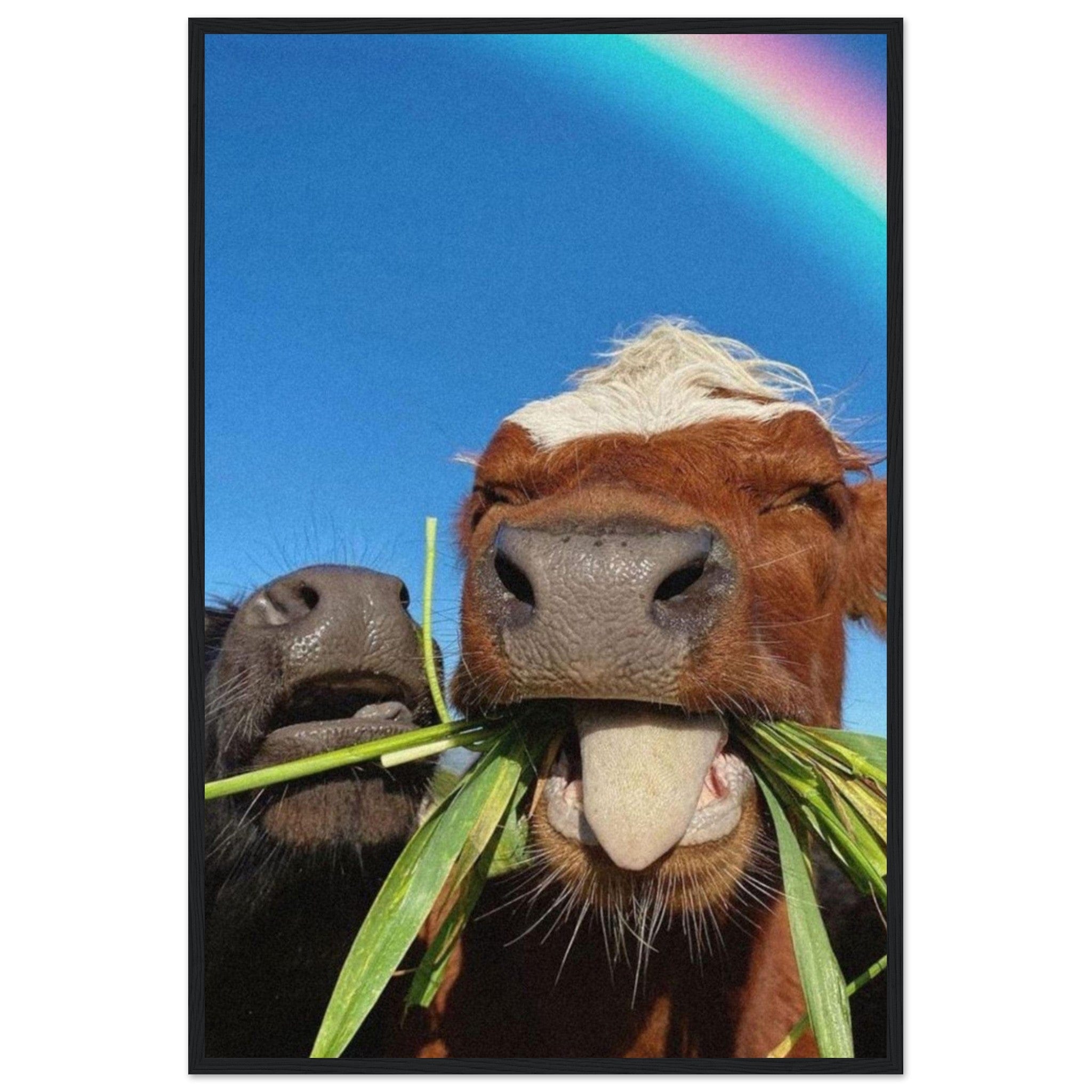 Canvanation Print Material 60x90 cm / 24x36″ Tableau Avec Des Vaches