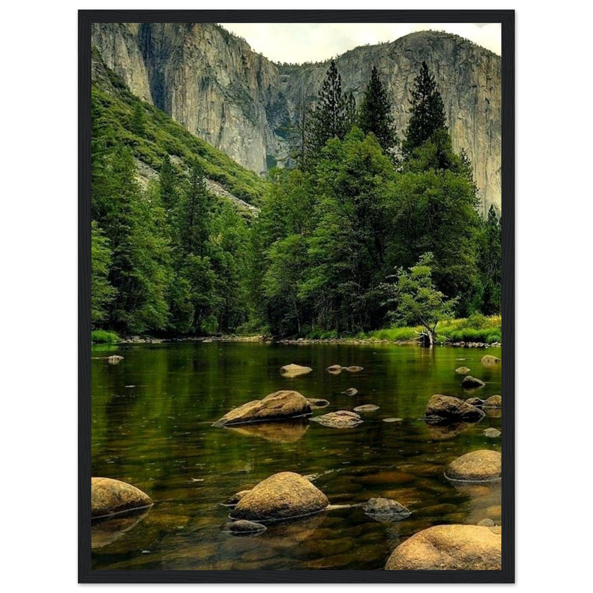 Canvanation Print Material 45x60 cm / 18x24″ Foret Tableau