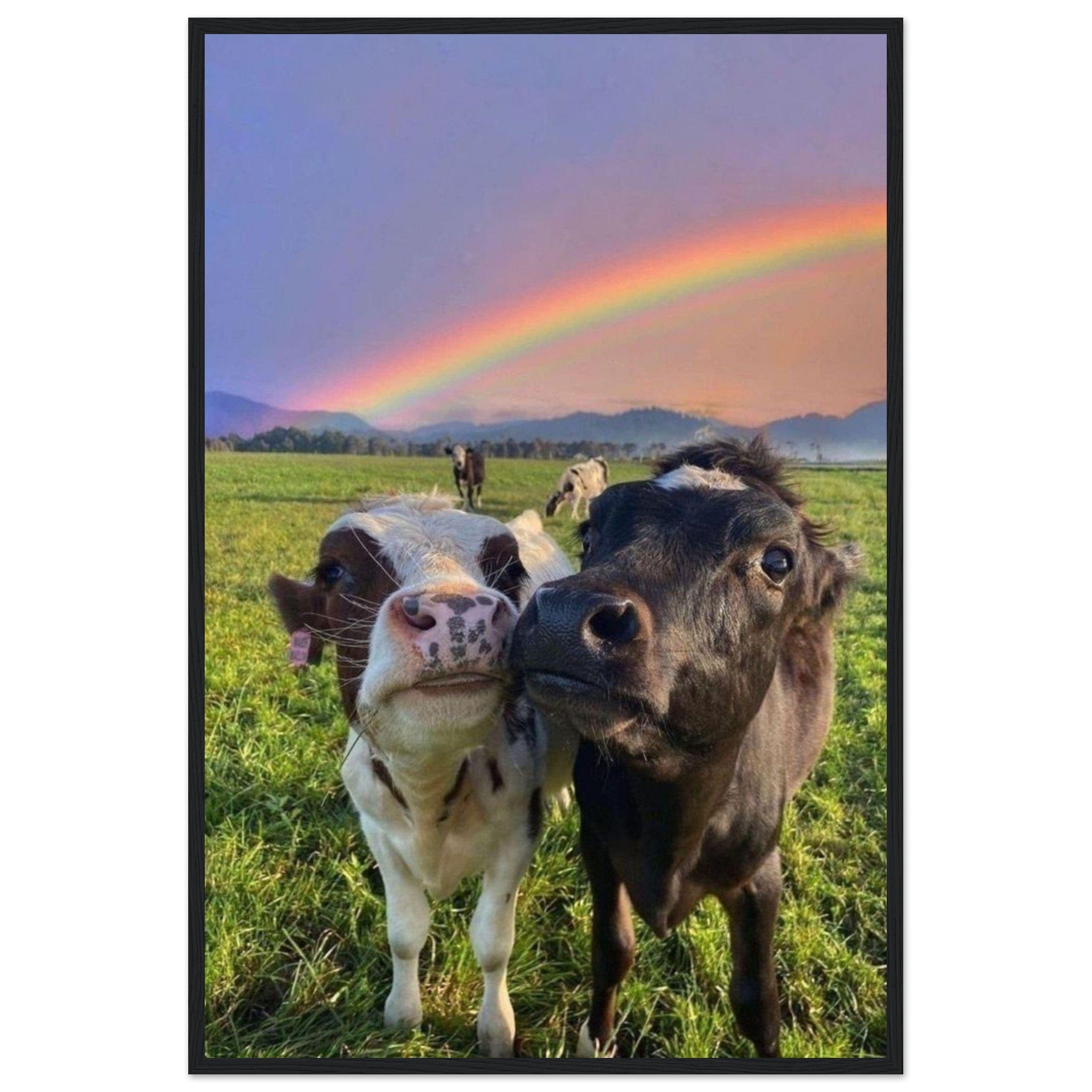 Canvanation Print Material 60x90 cm / 24x36″ Tableau Vache Arc En Ciel