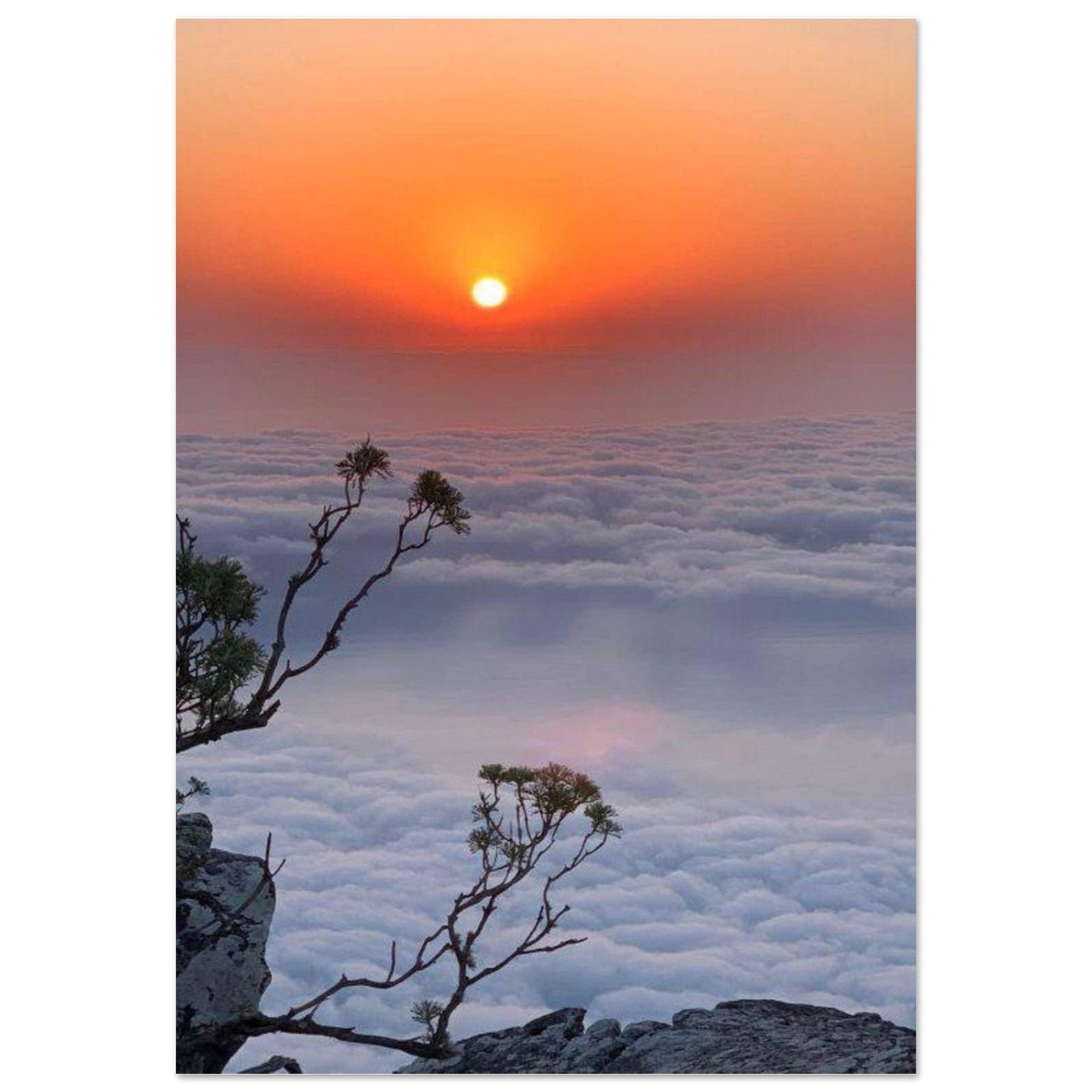 Tableau Africain Couché De Soleil - Canvanation