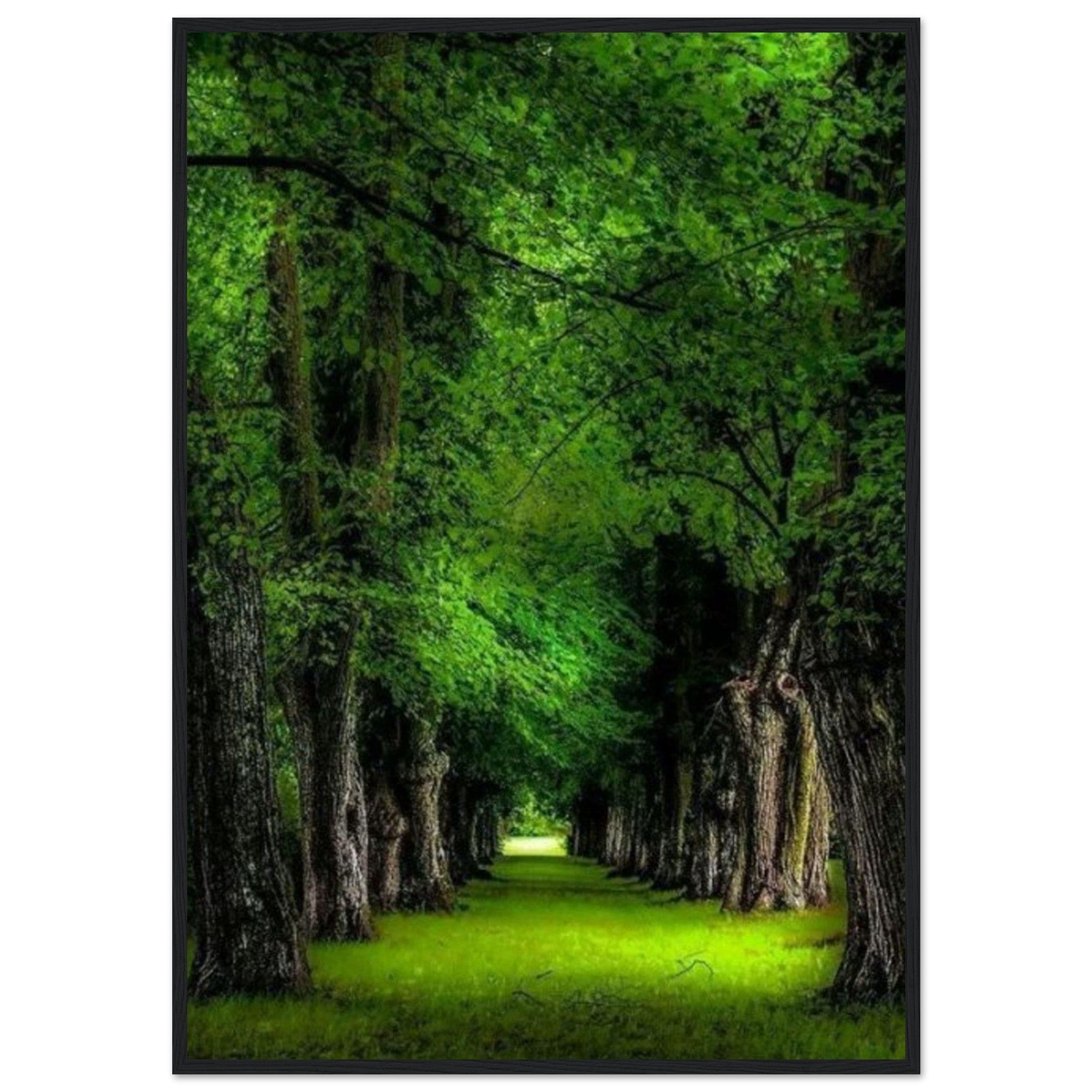 Canvanation Print Material 70x100 cm / 28x40″ Tableau Forêt Tropicale