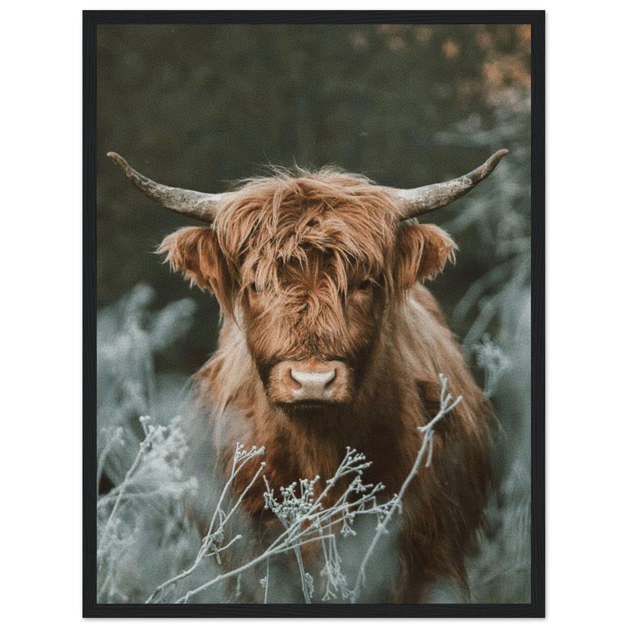 Canvanation Print Material 45x60 cm / 18x24″ Tableau Tete De Vache