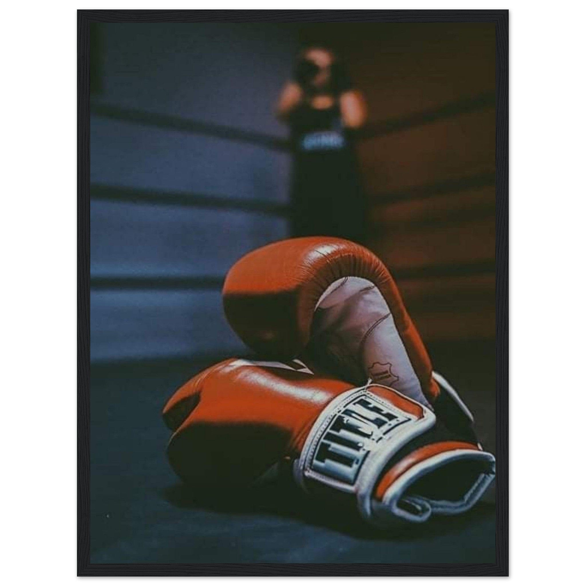 Canvanation Print Material Tableau Gants De Boxe