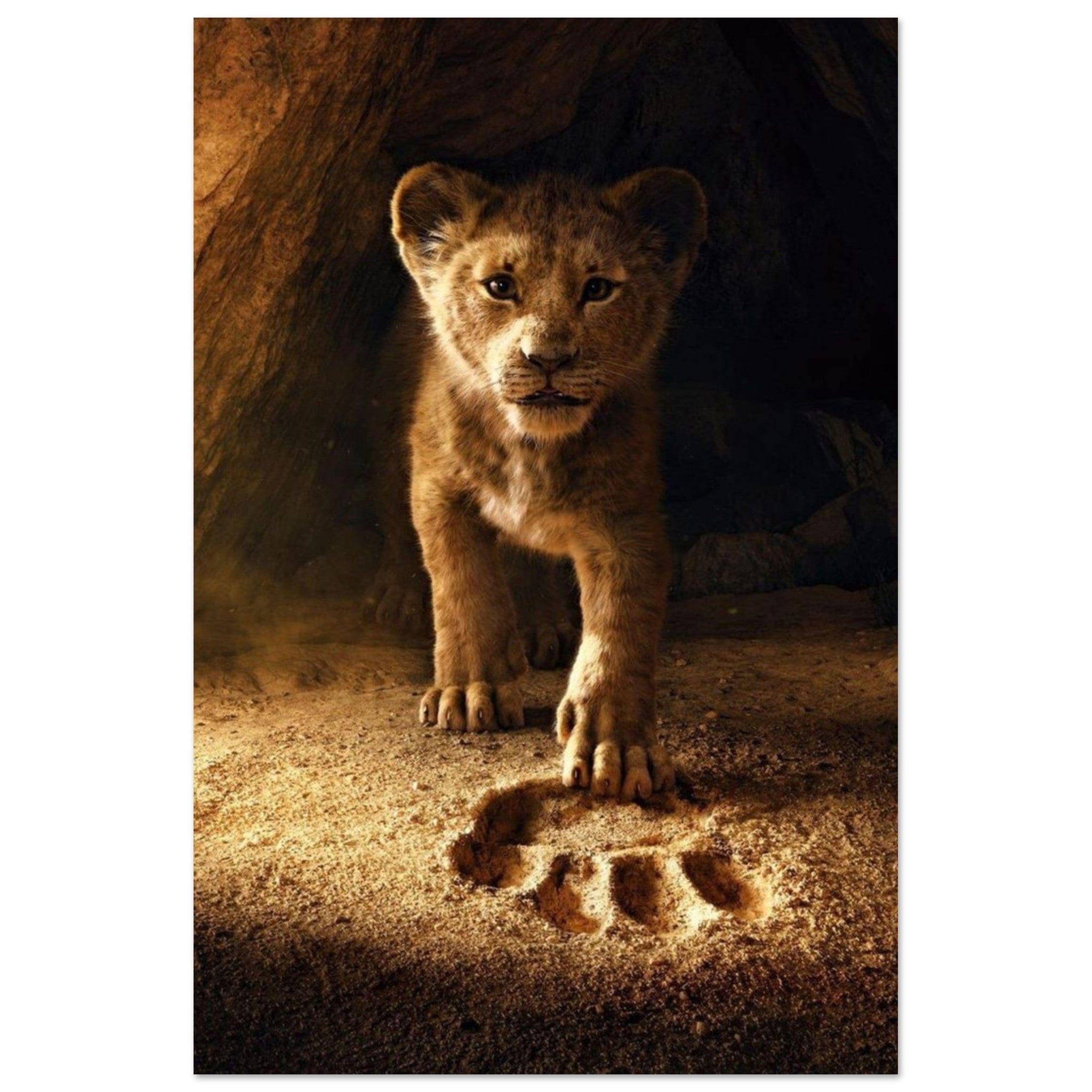 Canvanation Print Material 40x60 cm / 16x24″ Poster Lionceau