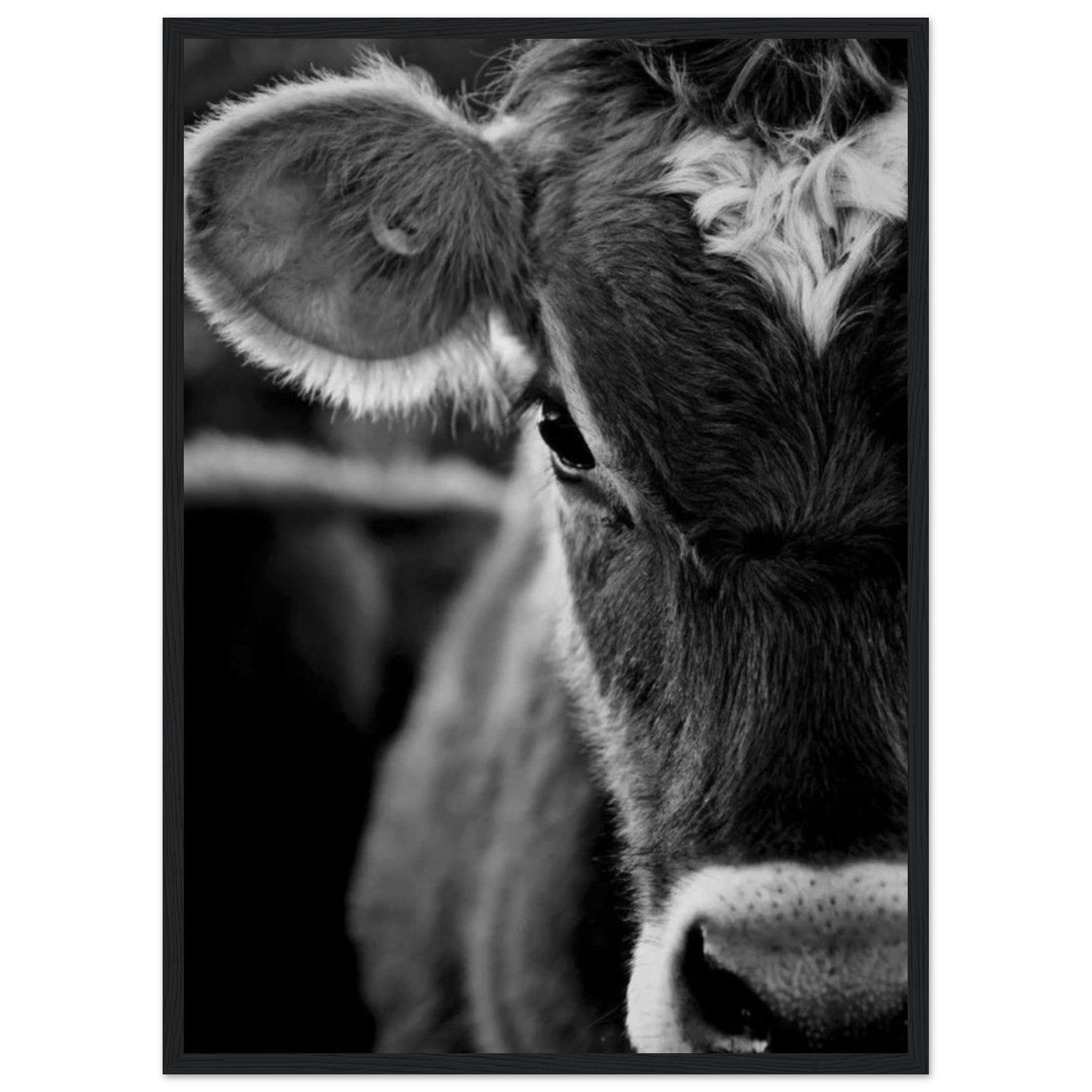 Canvanation Print Material 50x70 cm / 20x28″ Tableau Vache Aubrac