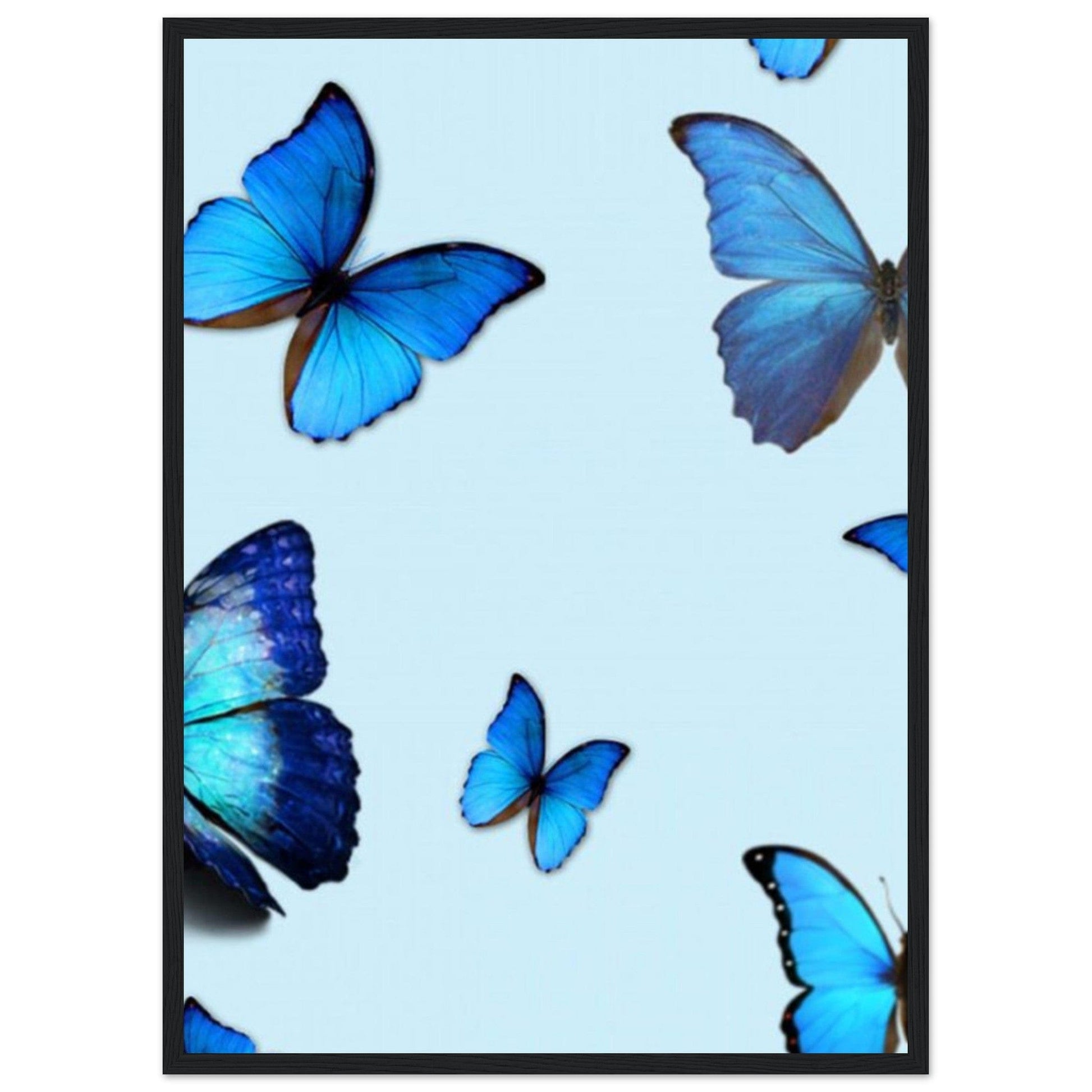 Tableau Papillons Bleu - Canvanation