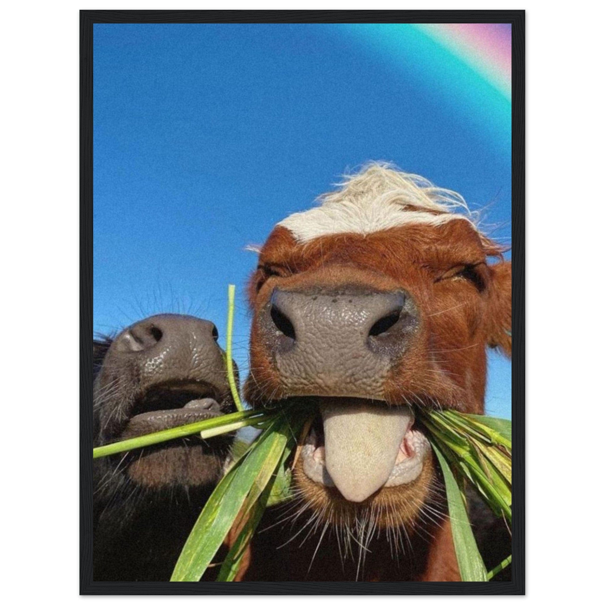 Canvanation Print Material 45x60 cm / 18x24″ Tableau Avec Des Vaches