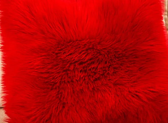 Tapis De Chambre - Rouge