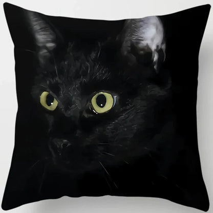 Canvanation 4 / 45x45cm Coussin Canapé Chat - Confort et Douceur Assurés