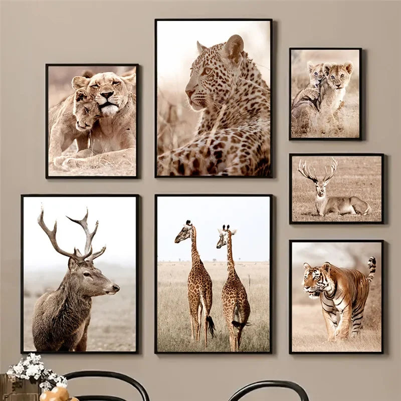 Affiche Sahara Africain Animaux