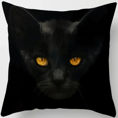 Canvanation 8 / 45x45cm Coussin Canapé Chat - Confort et Douceur Assurés