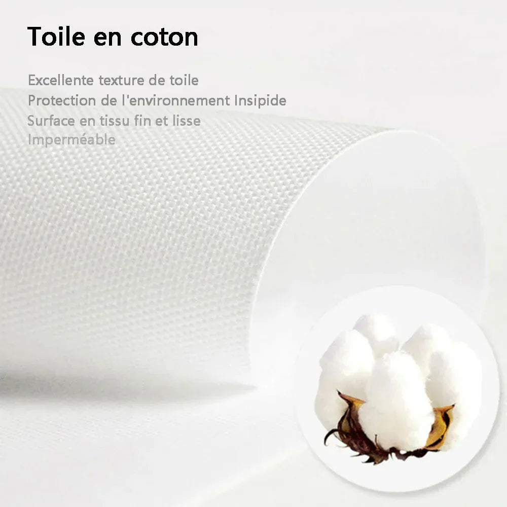 Canvanation Affiche - Star Wars 2025