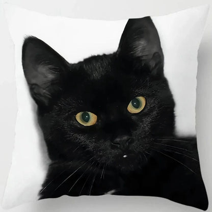 Canvanation 2 / 45x45cm Coussin Canapé Chat - Confort et Douceur Assurés