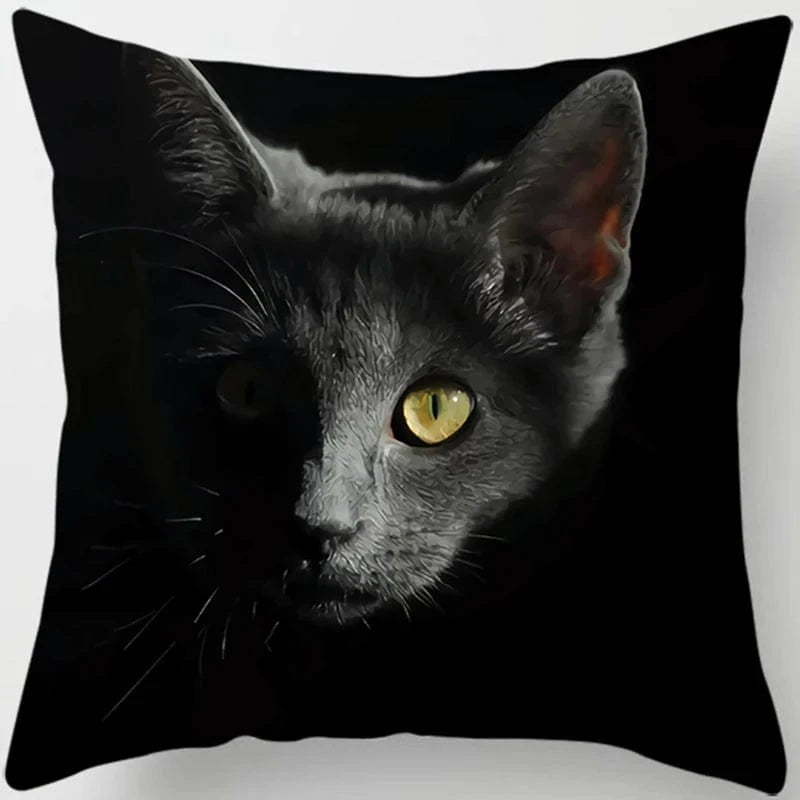 Canvanation 6 / 45x45cm Coussin Canapé Chat - Confort et Douceur Assurés