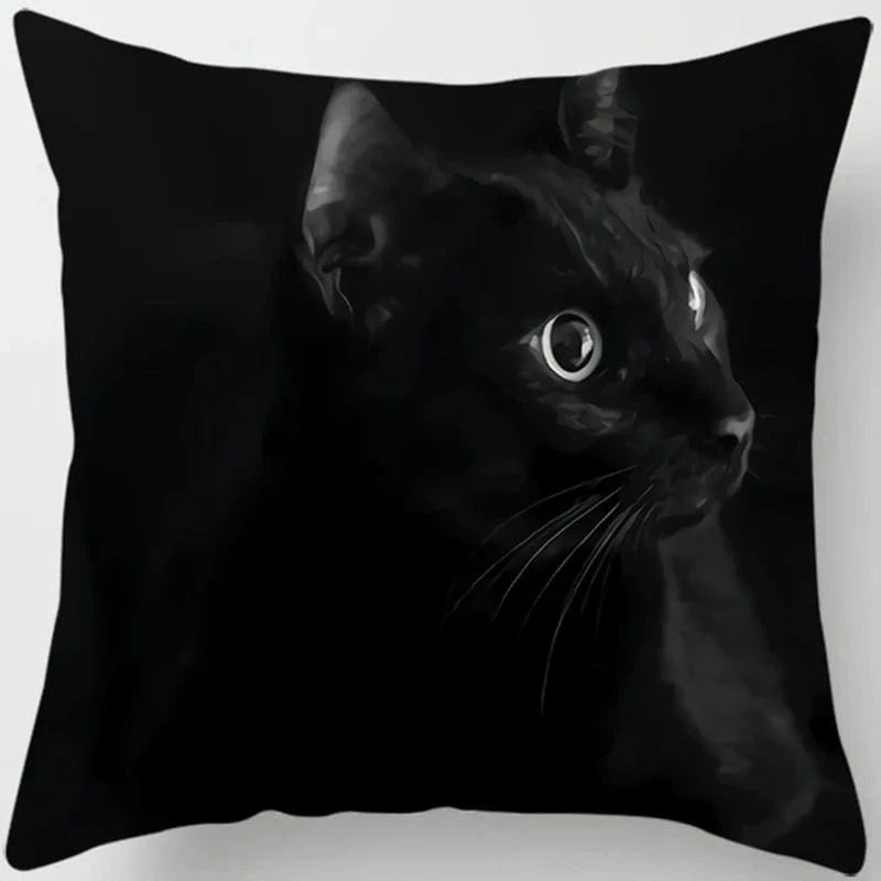 Canvanation 3 / 45x45cm Coussin Canapé Chat - Confort et Douceur Assurés