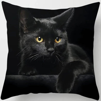Canvanation 1 / 45x45cm Coussin Canapé Chat - Confort et Douceur Assurés