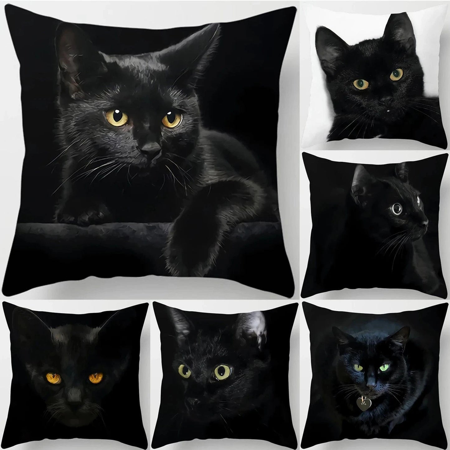 Canvanation Coussin Canapé Chat - Confort et Douceur Assurés