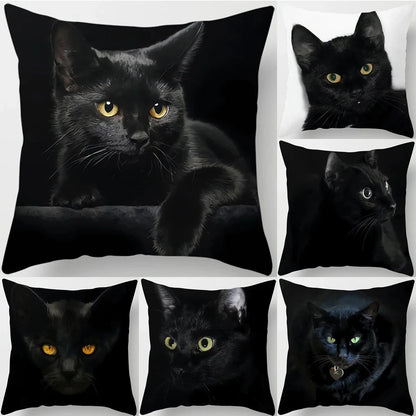 Canvanation Coussin Canapé Chat - Confort et Douceur Assurés