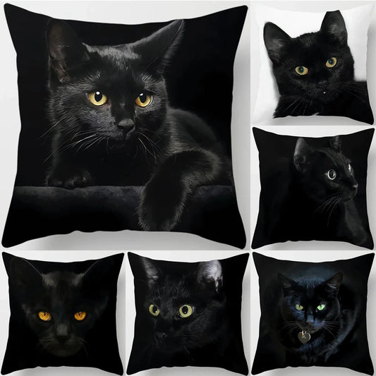Canvanation Coussin Canapé Chat - Confort et Douceur Assurés