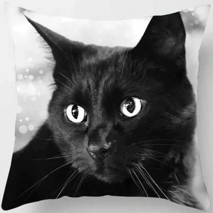 Canvanation 5 / 45x45cm Coussin Canapé Chat - Confort et Douceur Assurés