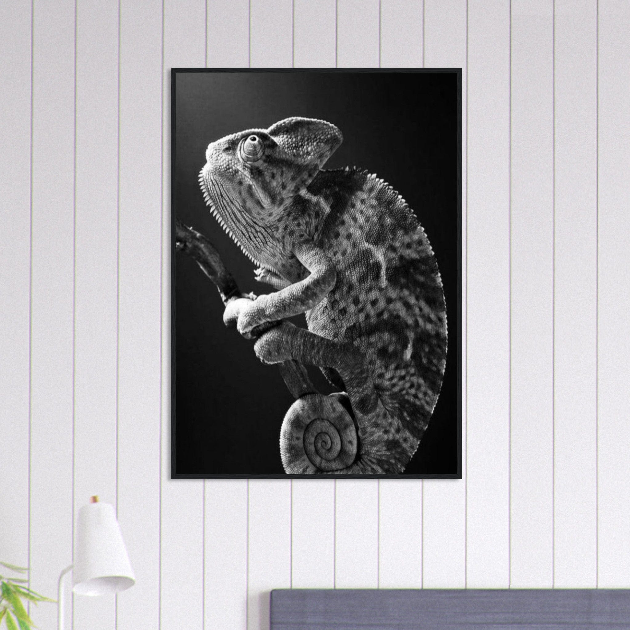 Tableau Photo Noir Et Blanc-Animaux-Caméléon