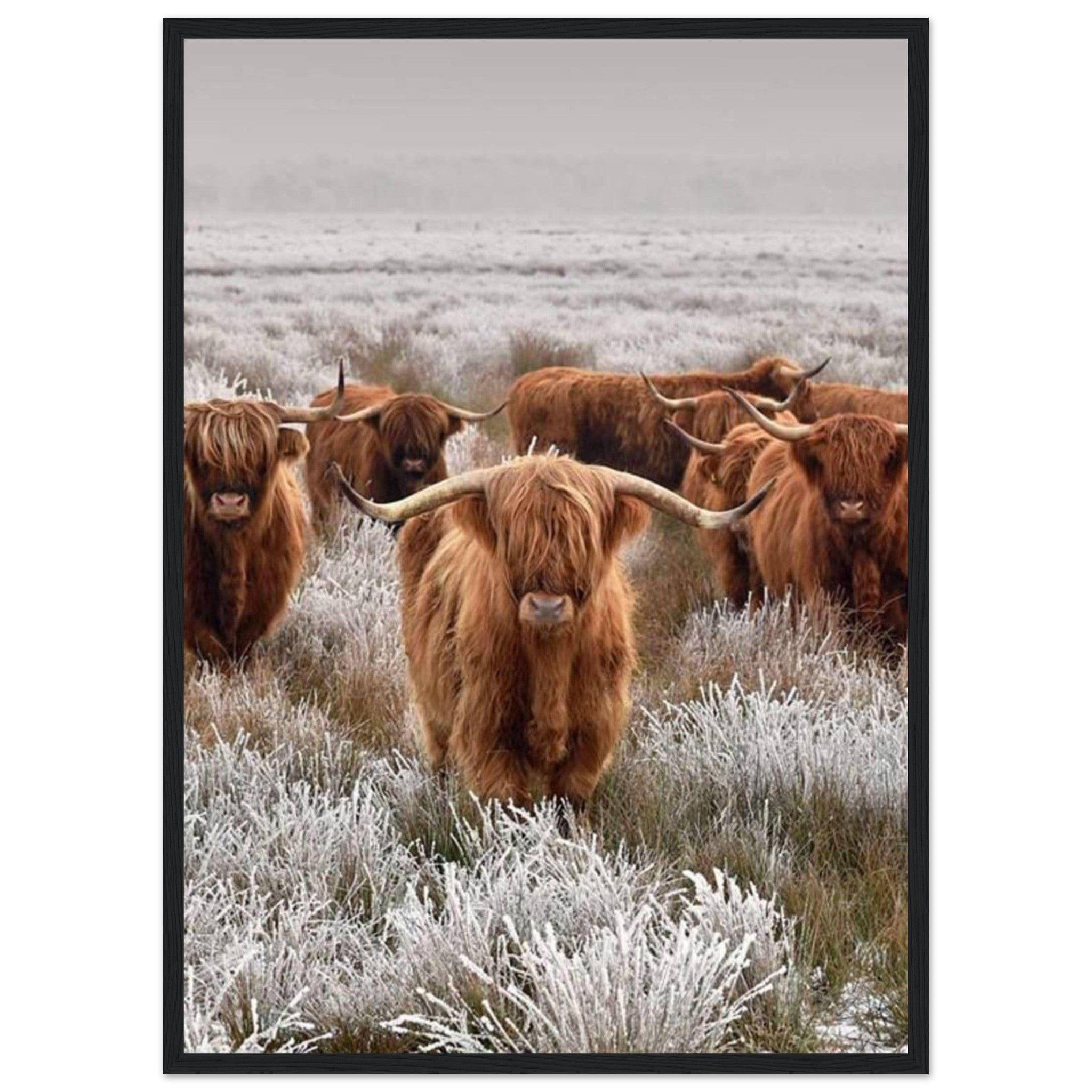 Canvanation Print Material 50x70 cm / 20x28″ Tableau Vache Couleur