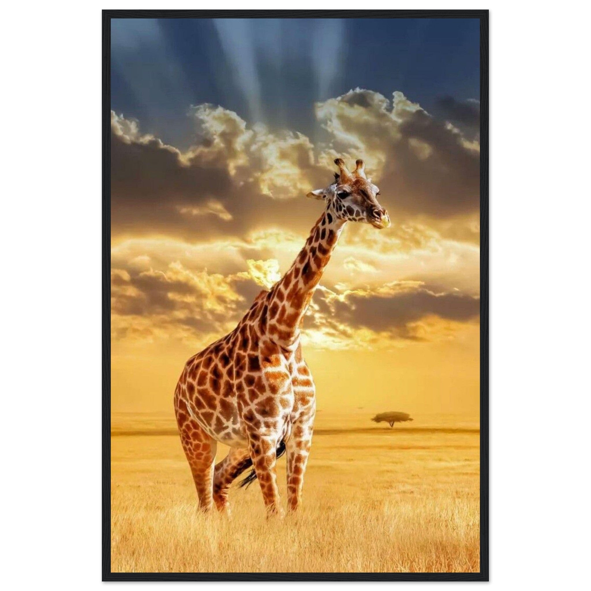 Toile Girafe - Canvanation