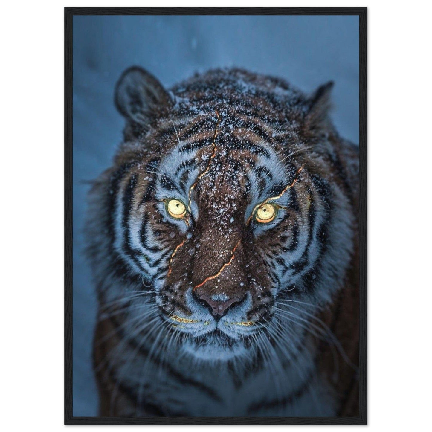 Tableau Tigre Neige - Canvanation