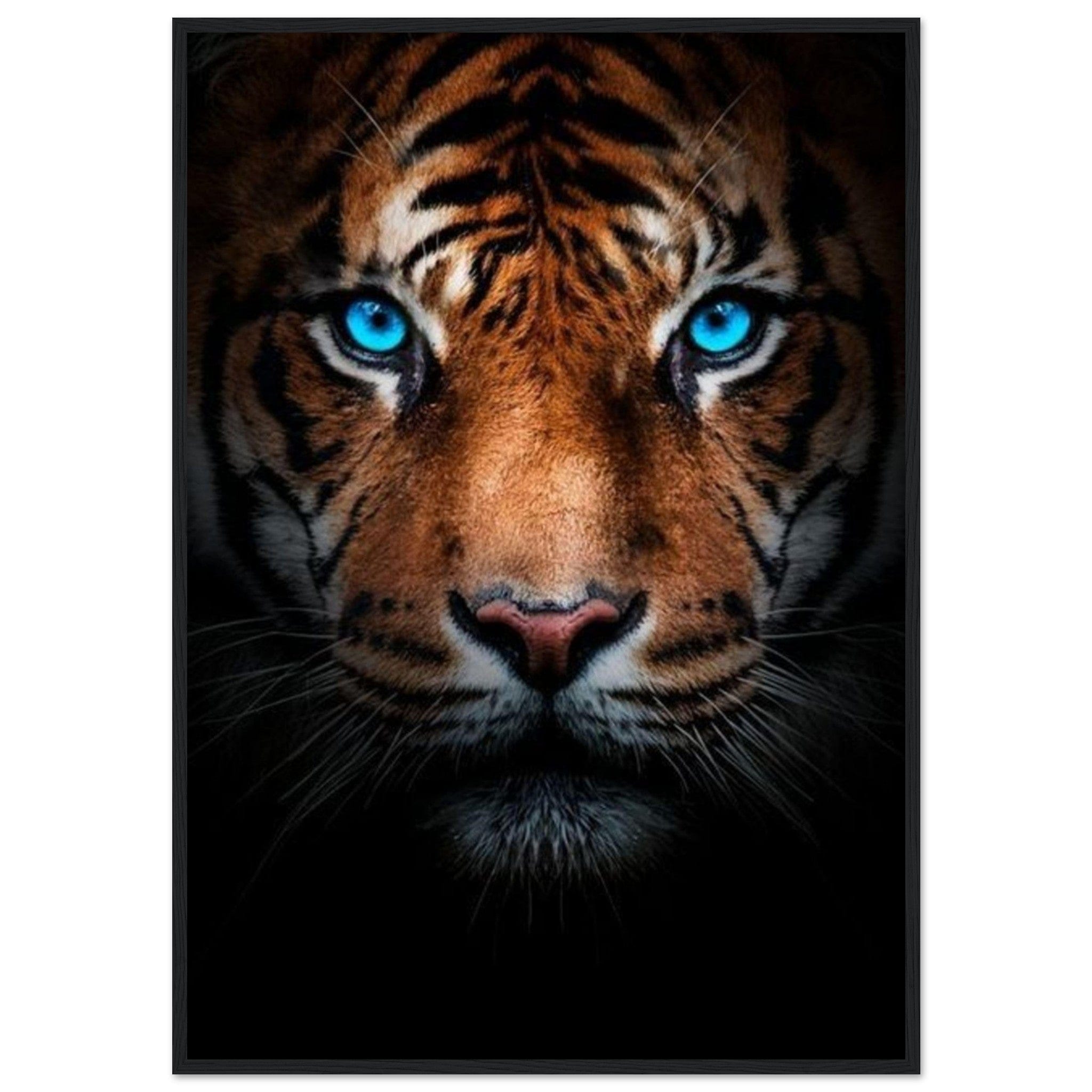 Tableau Tigre Yeux Bleu - Canvanation