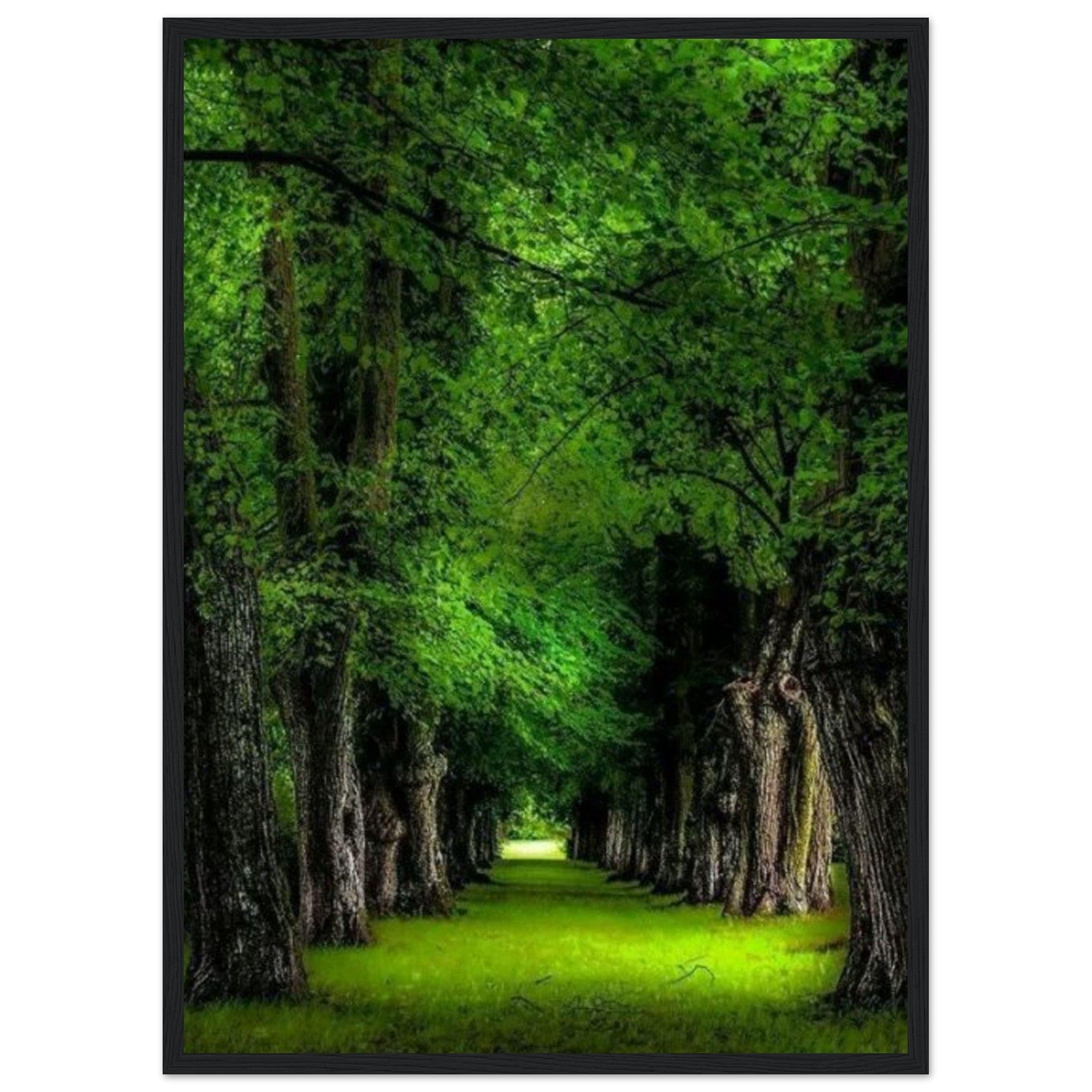 Canvanation Print Material 50x70 cm / 20x28″ Tableau Forêt Tropicale