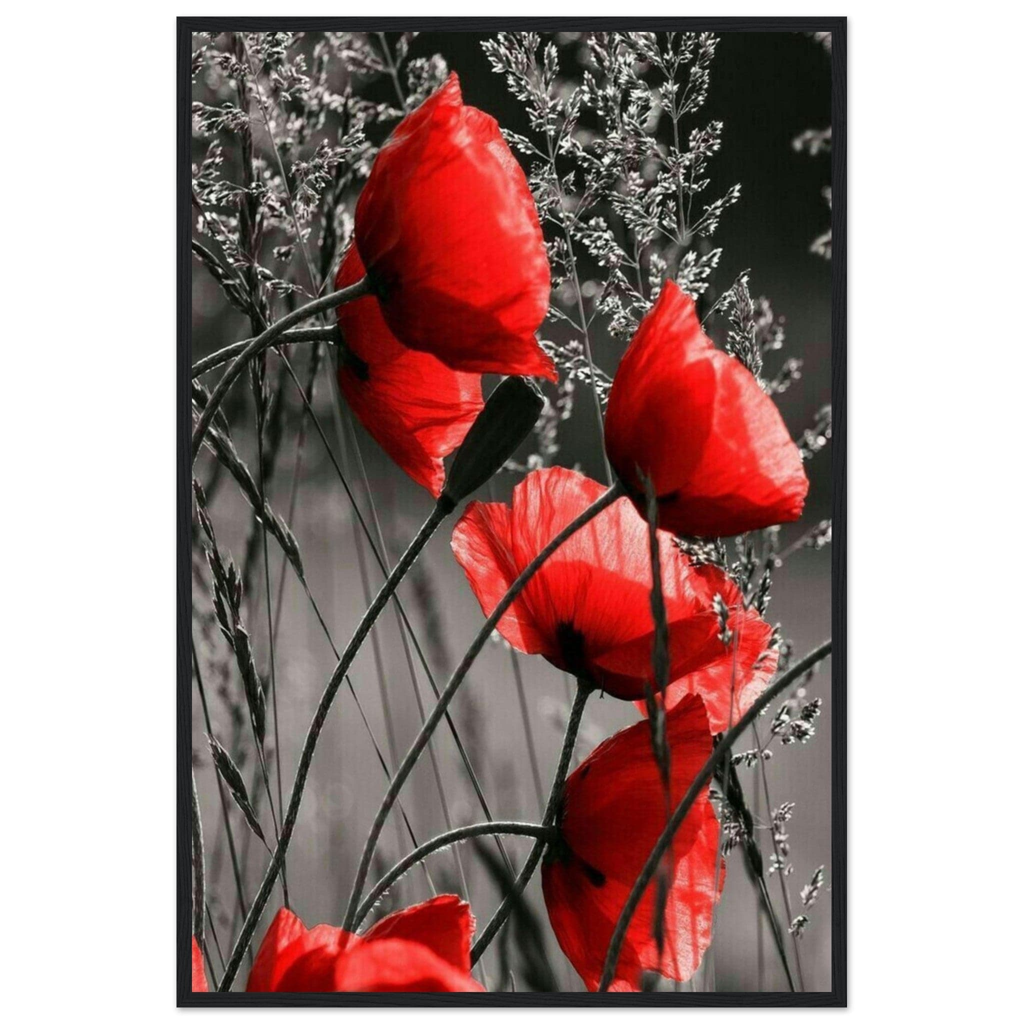 Peinture Abstraite Coquelicot Canvanation