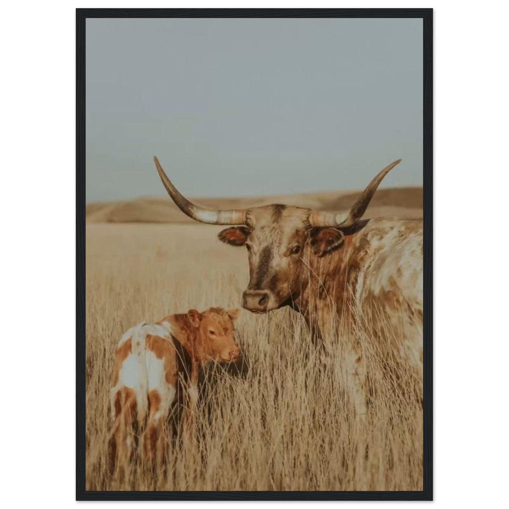 Canvanation Print Material 50x70 cm / 20x28″ Tableau Vache Gasconne