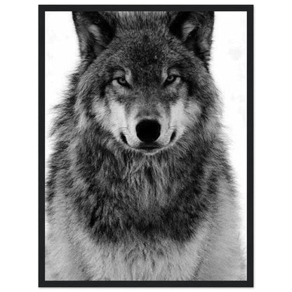 Tableau Loup Noir Et Blanc - Canvanation