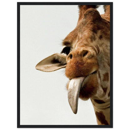 Tableau Girafe Rigolote - Canvanation