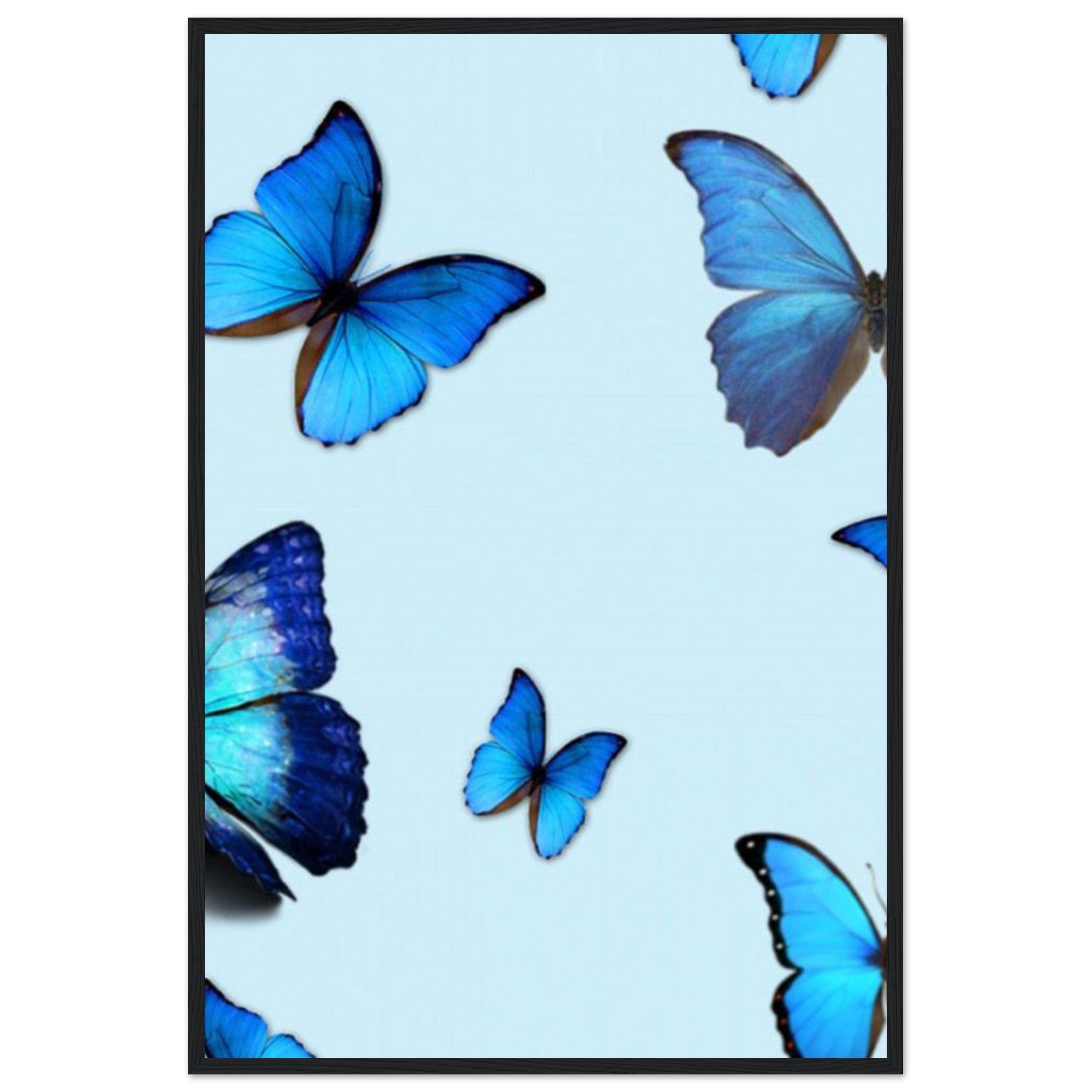 Tableau Papillons Bleu - Canvanation