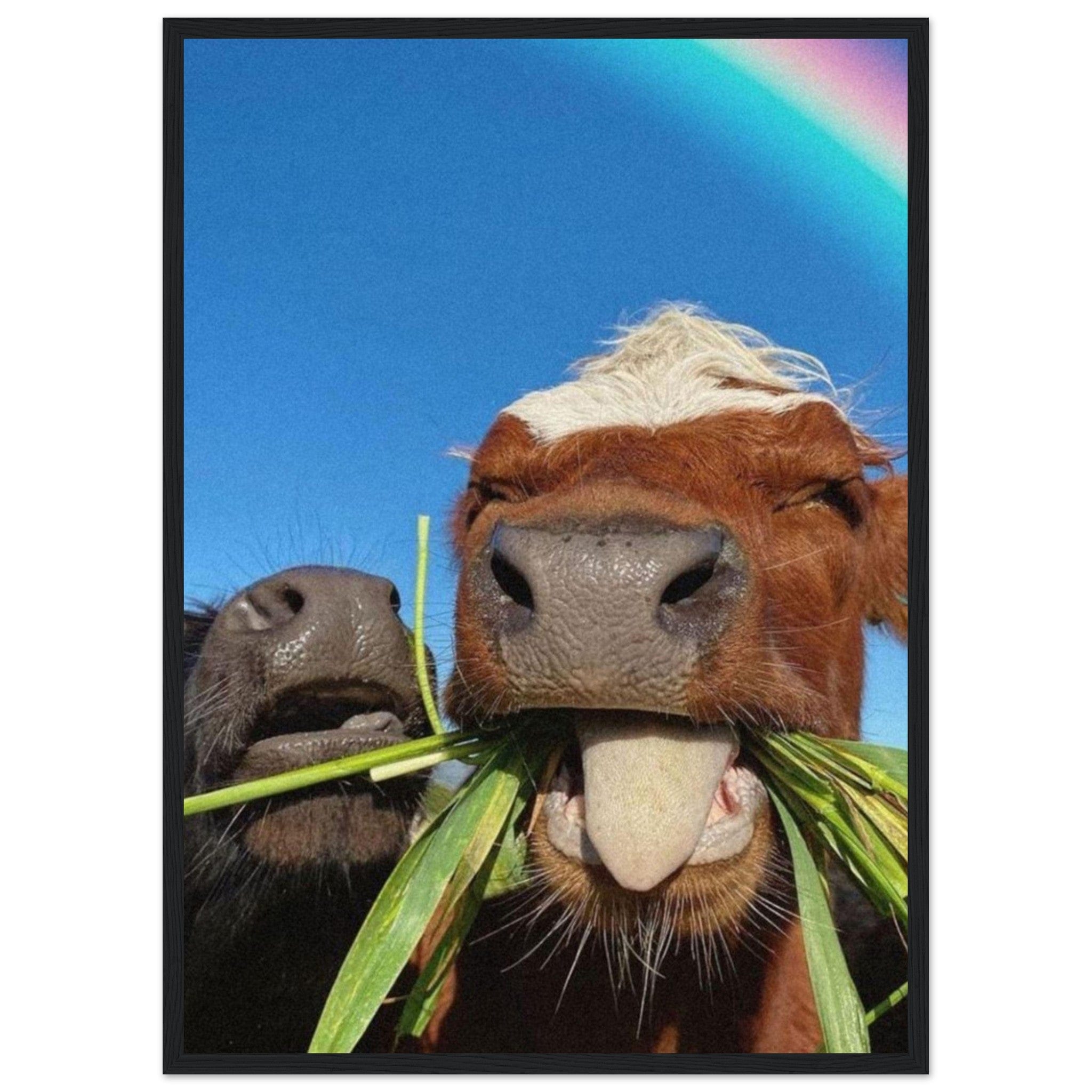 Canvanation Print Material 50x70 cm / 20x28″ Tableau Avec Des Vaches