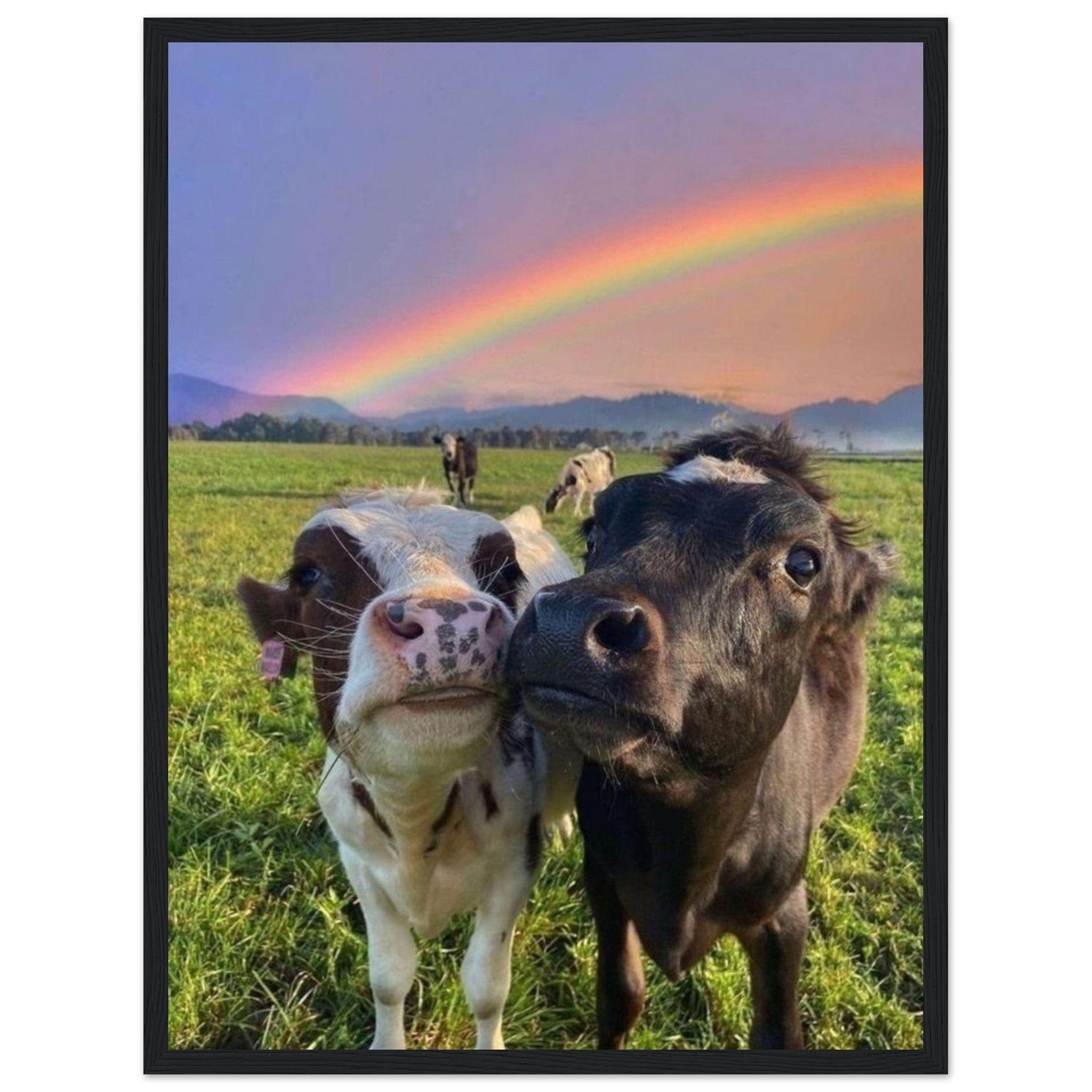 Canvanation Print Material 45x60 cm / 18x24″ Tableau Vache Arc En Ciel