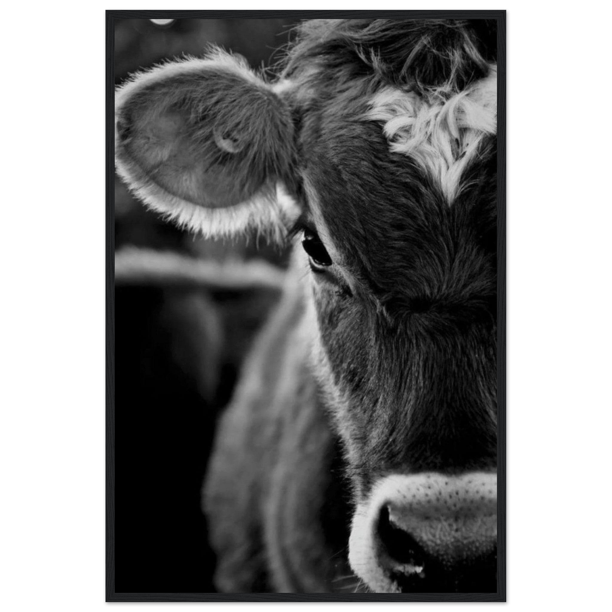 Canvanation Print Material 60x90 cm / 24x36″ Tableau Vache Aubrac