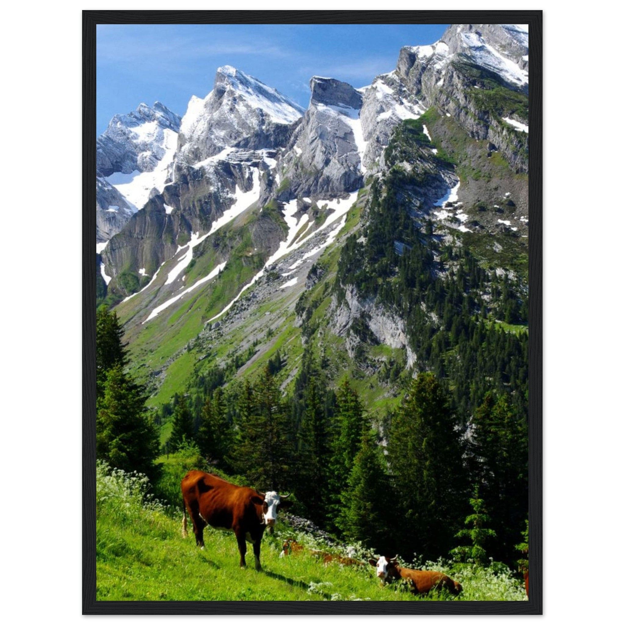 Canvanation Print Material Tableau Montagne Chalet