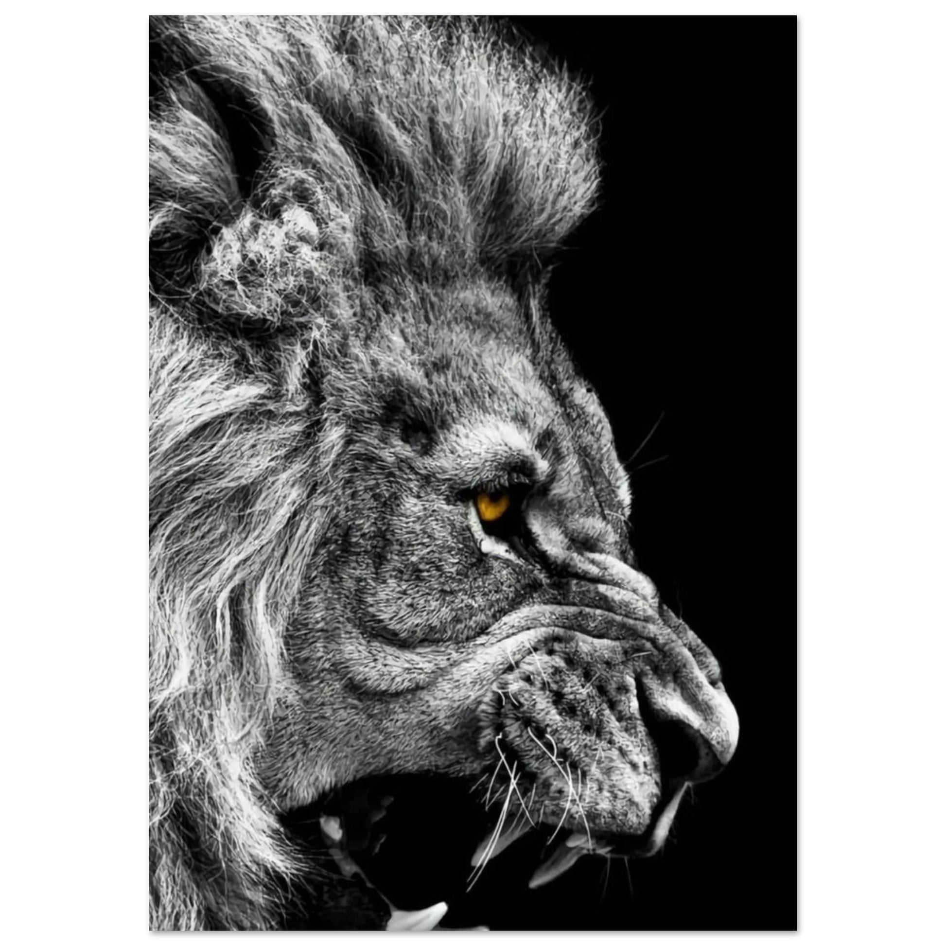 Poster Lion Noir Et Blanc Rugissement