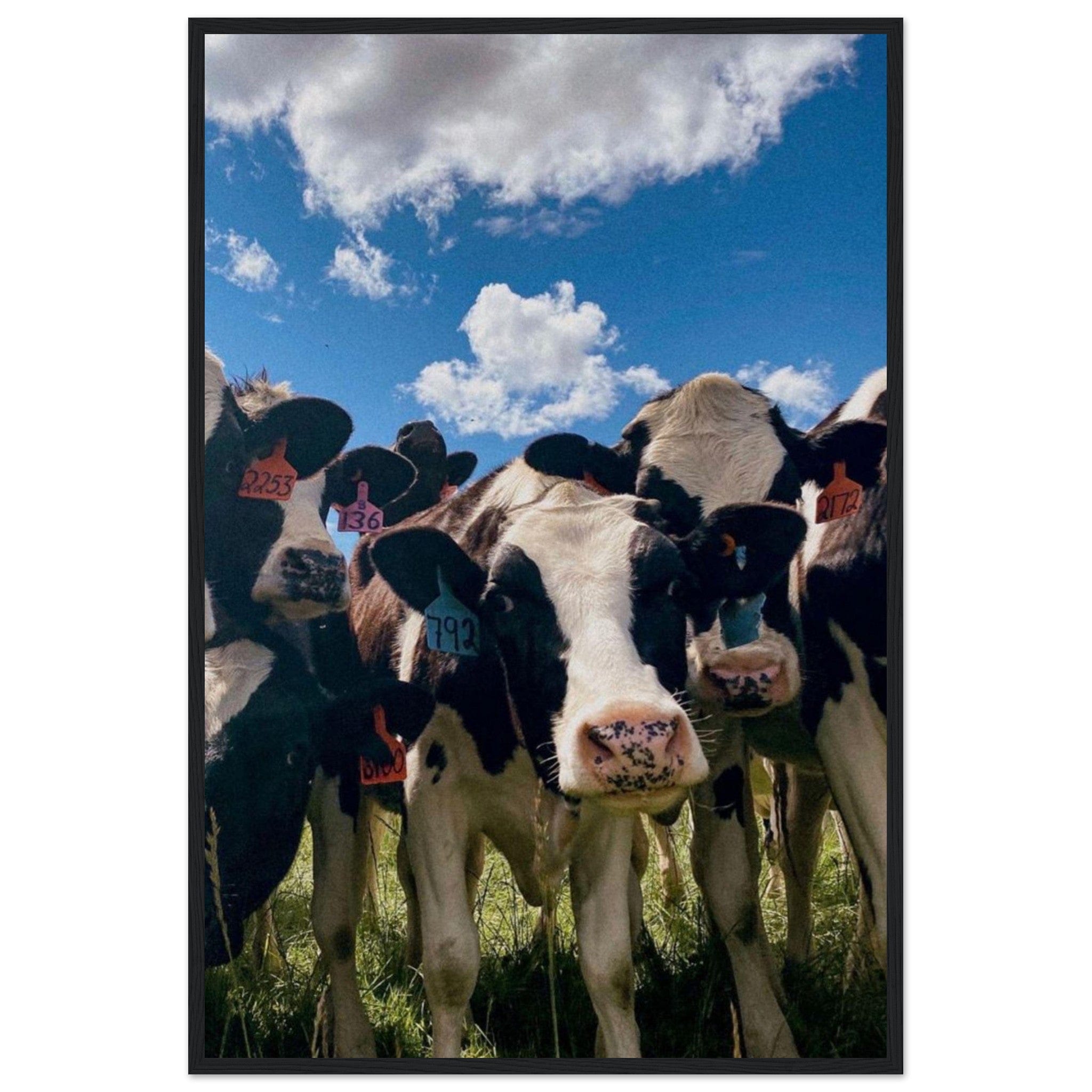 Canvanation Print Material 60x90 cm / 24x36″ Tableau Vache Noir Et Blanc