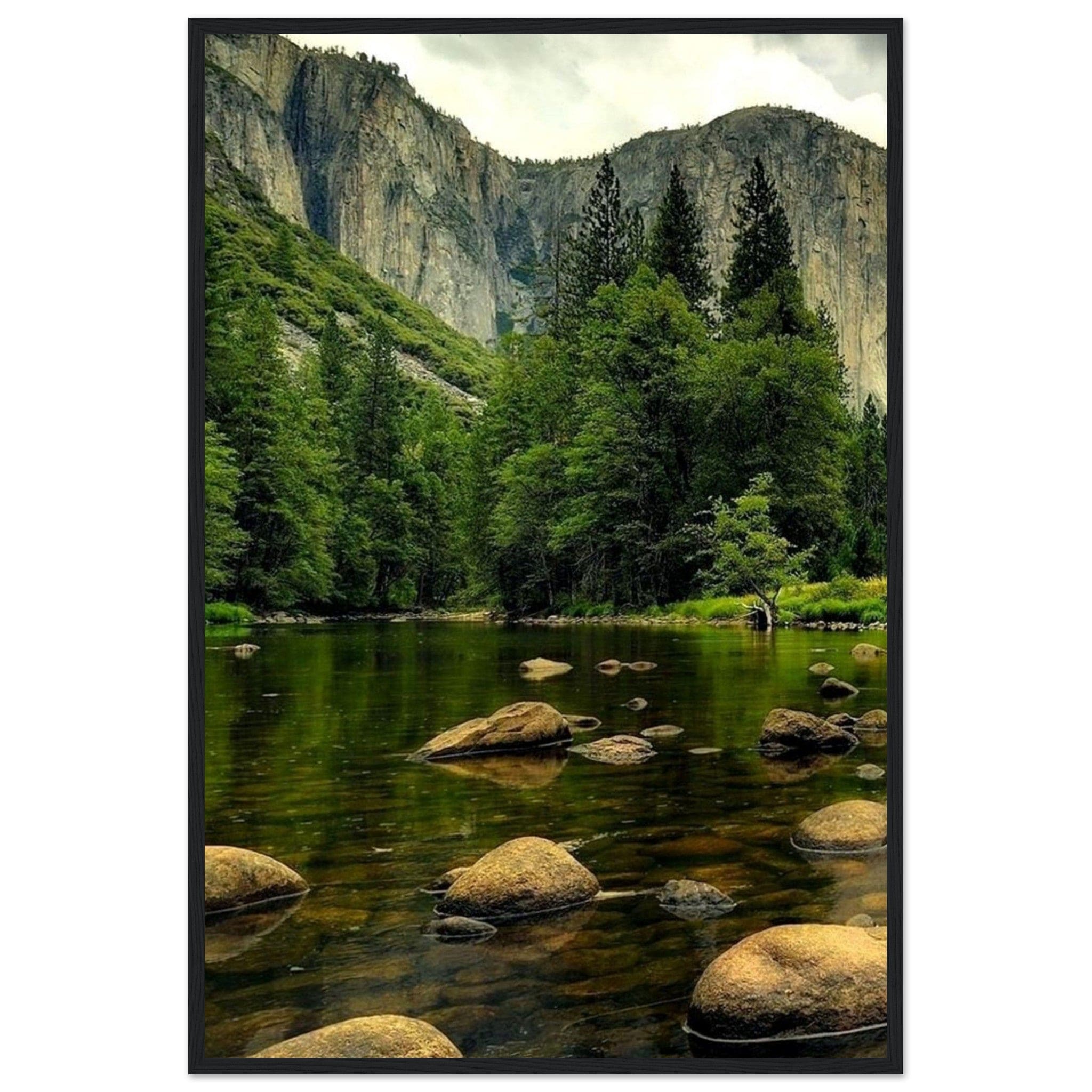 Canvanation Print Material 60x90 cm / 24x36″ Foret Tableau