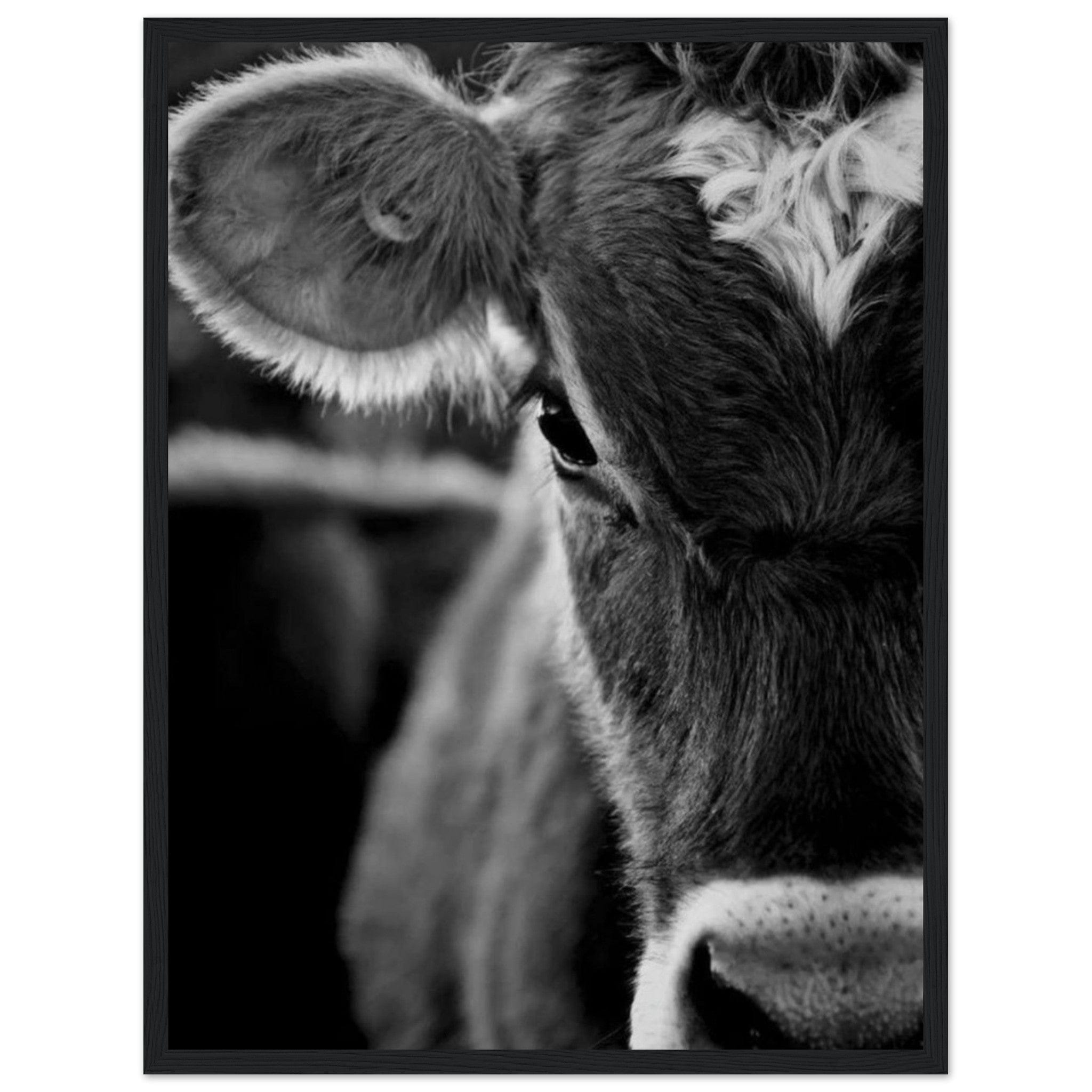 Canvanation Print Material 45x60 cm / 18x24″ Tableau Vache Aubrac