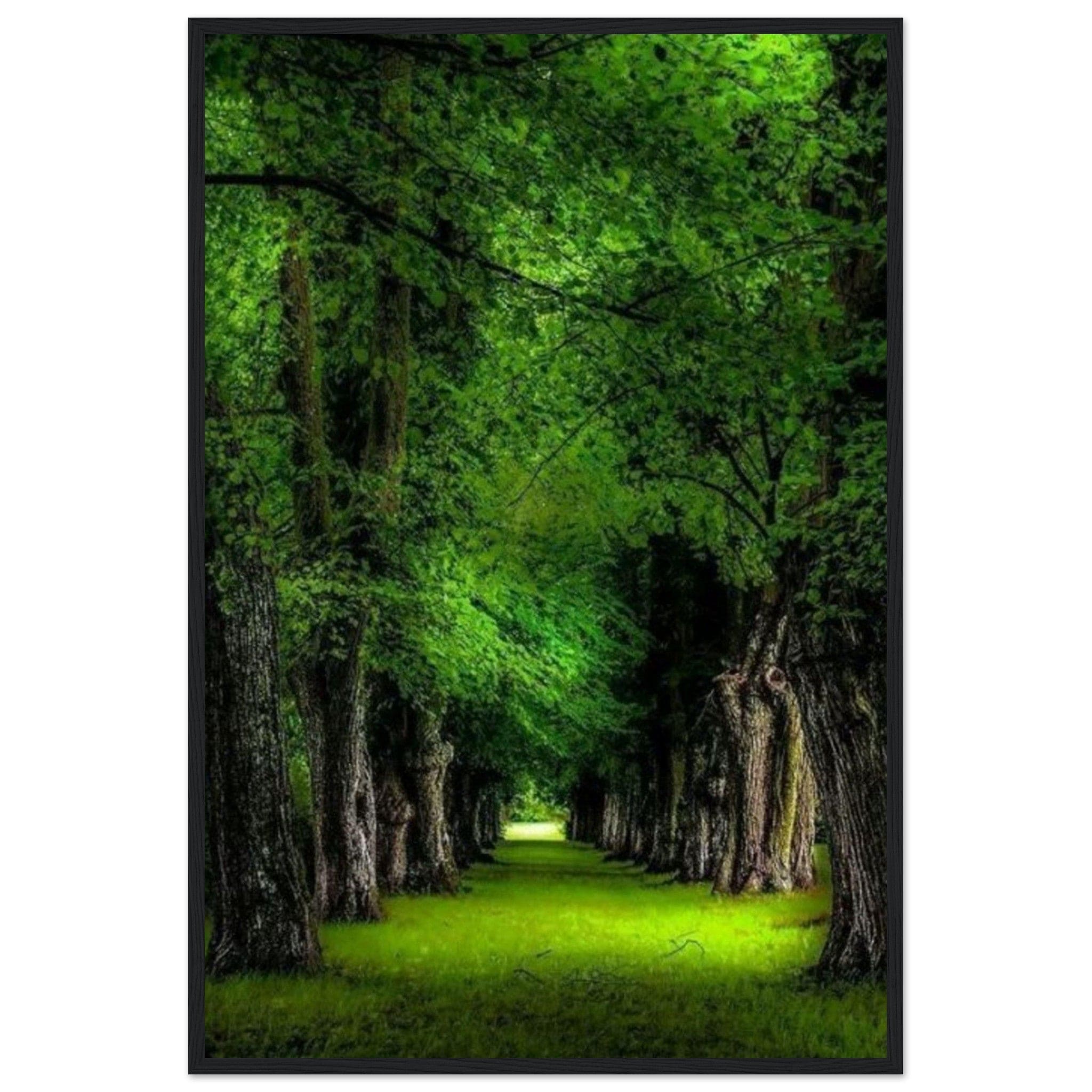 Canvanation Print Material 60x90 cm / 24x36″ Tableau Forêt Tropicale