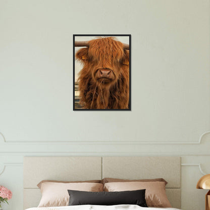 Peinture Vache Highland